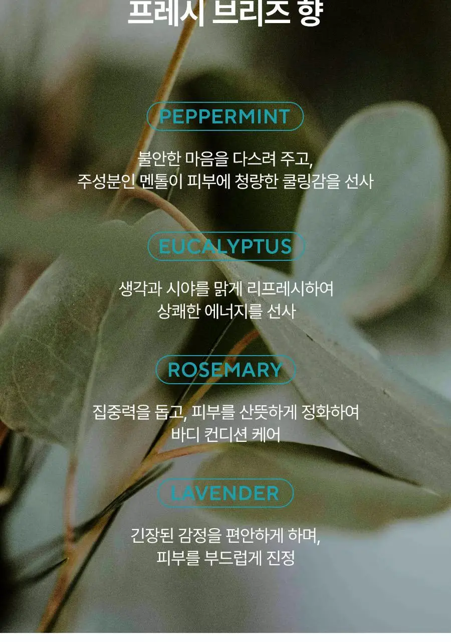 [헤어+바디] 아로마티카 바이탈라이징 로즈마리 올인원 바디워시 300ml 상세페이지 37